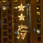 Special Gift - Christmas Ambiance Decorations Suction Cup LED Lights - Image 14