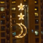 Special Gift - Christmas Ambiance Decorations Suction Cup LED Lights - Image 20