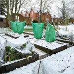 🎅Early Xmas Sales - 50% OFF🎄Plant Thickened Drawstring Bag Freeze Protection Covers - Image 9